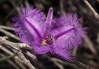PC263287a.jpg